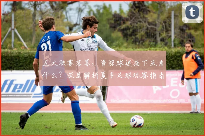 五大联赛落幕,资深球迷接下来看什么?深度解析夏季足球观赛指南