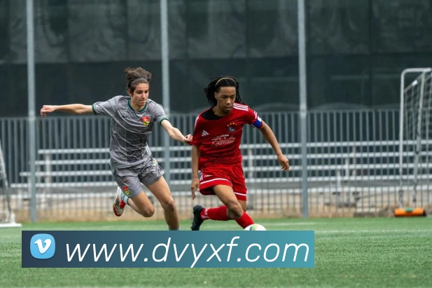 九游体育APP 封面图